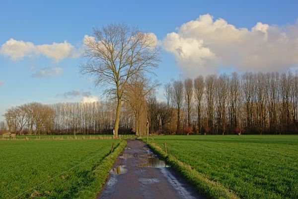 Wat dichtregels kunnen doen